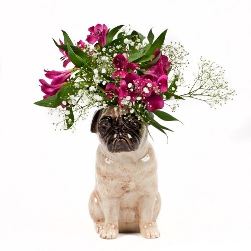 Quail – Fawn Pug Flower Vase