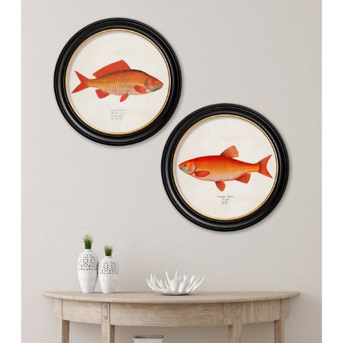 Goldfish Prints
